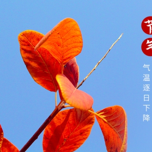 秋分‖云淡風(fēng)清揚(yáng)，秋色可分長